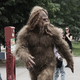 An imposter saunters in Brooklyn. Photo: AP
